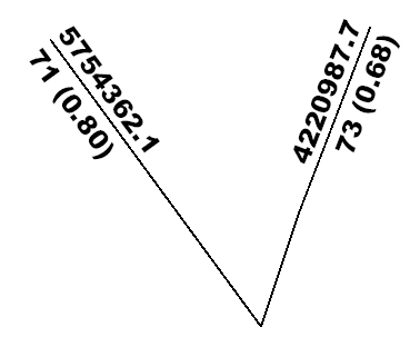 images\\tut212.png